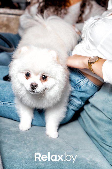 Friday Music, фото № 38