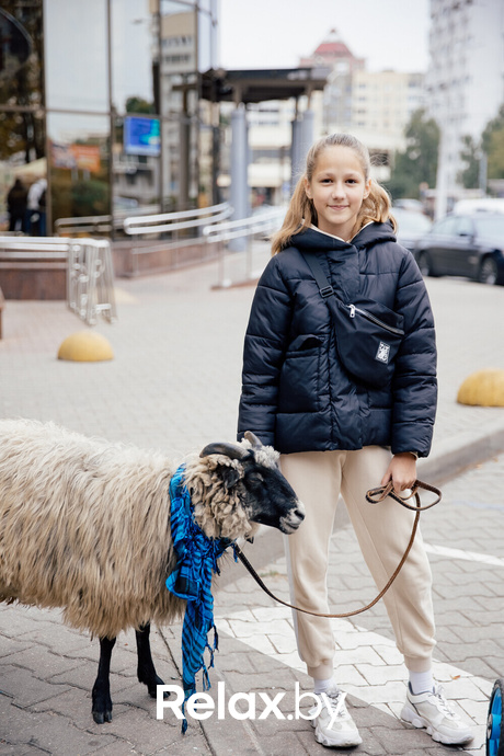 Благотворительная акция пушистого добра, фото № 8