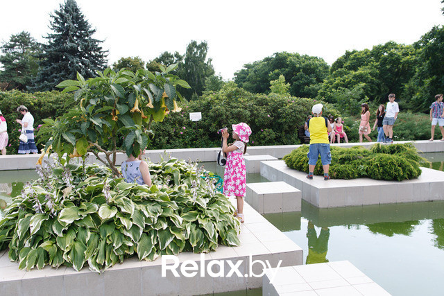 Фестиваль роз, фото № 40