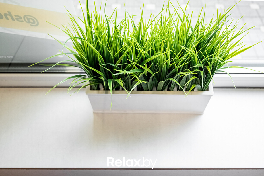 Открытие ShaurMeals, фото № 28