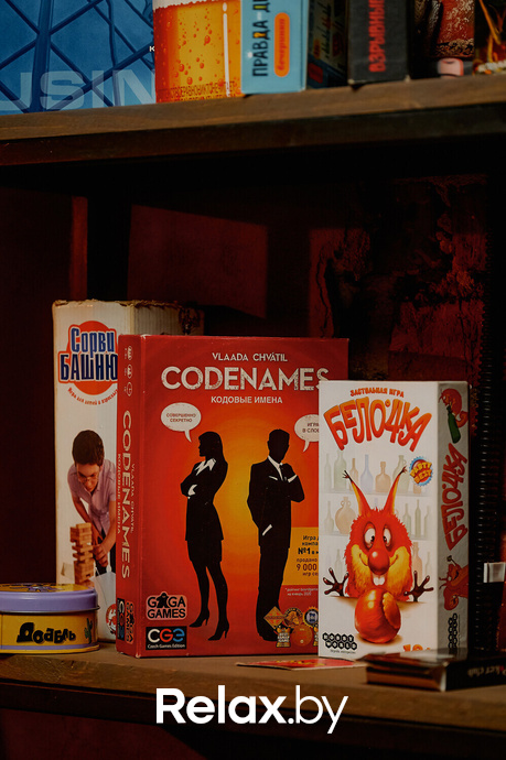 Monkey Brothers, фото № 7