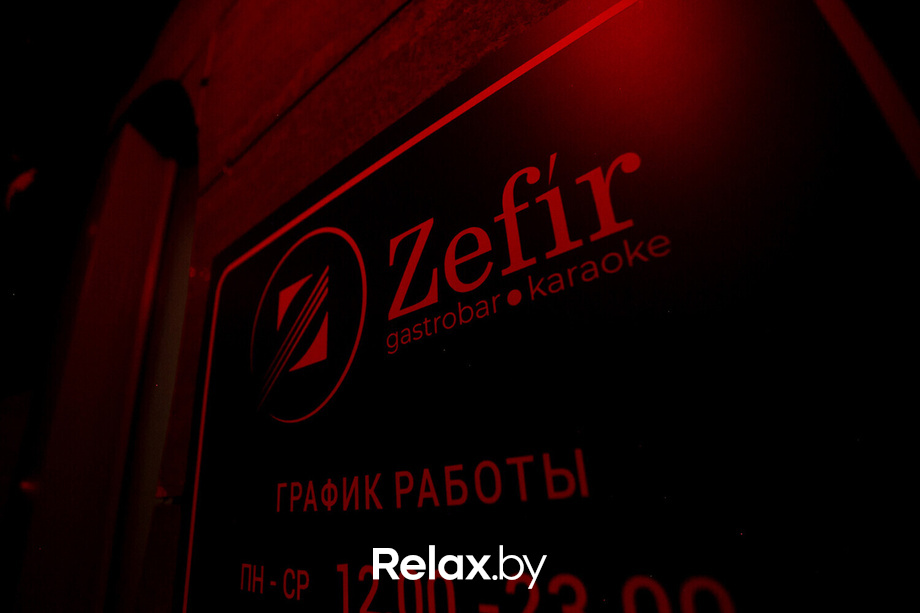 Ночь караоке «Zefir», фото № 35
