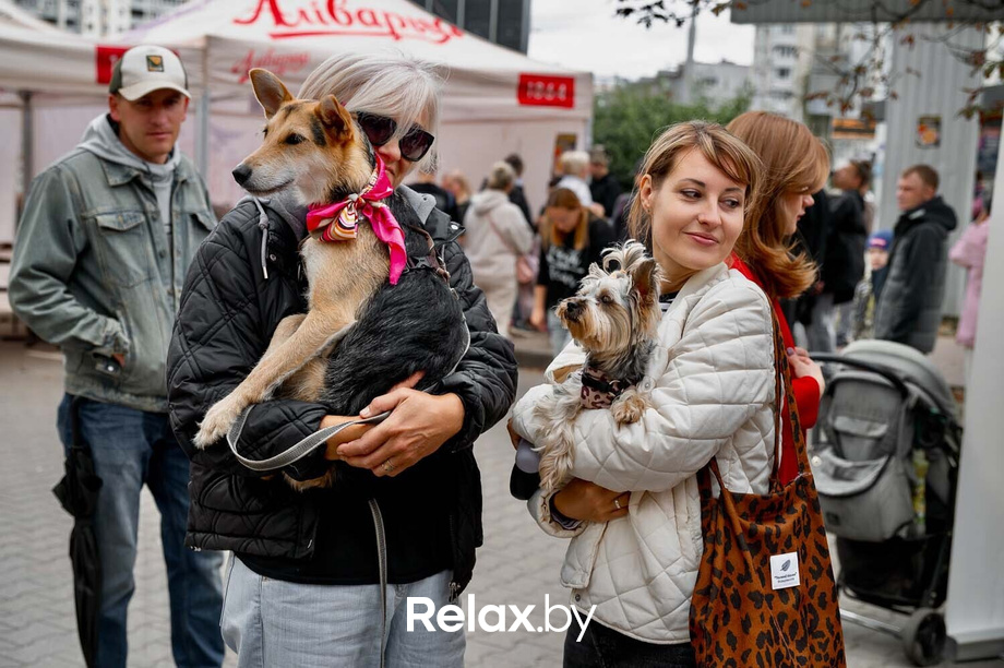 Акция пушистого добра, фото № 40