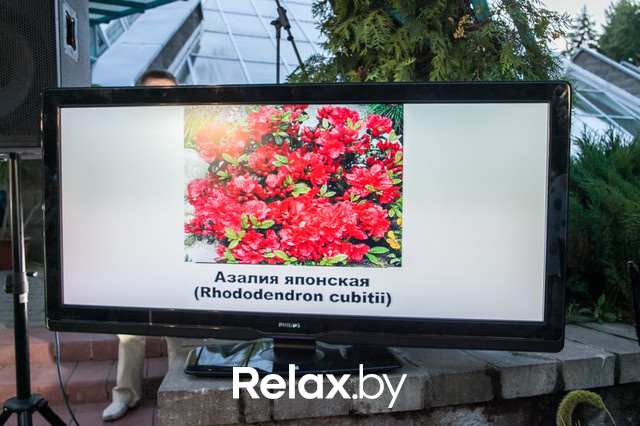 Благотворительный раут, фото № 98