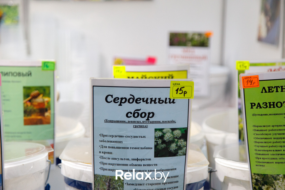 Ярмарка «Мир мёда и здоровья», фото № 142