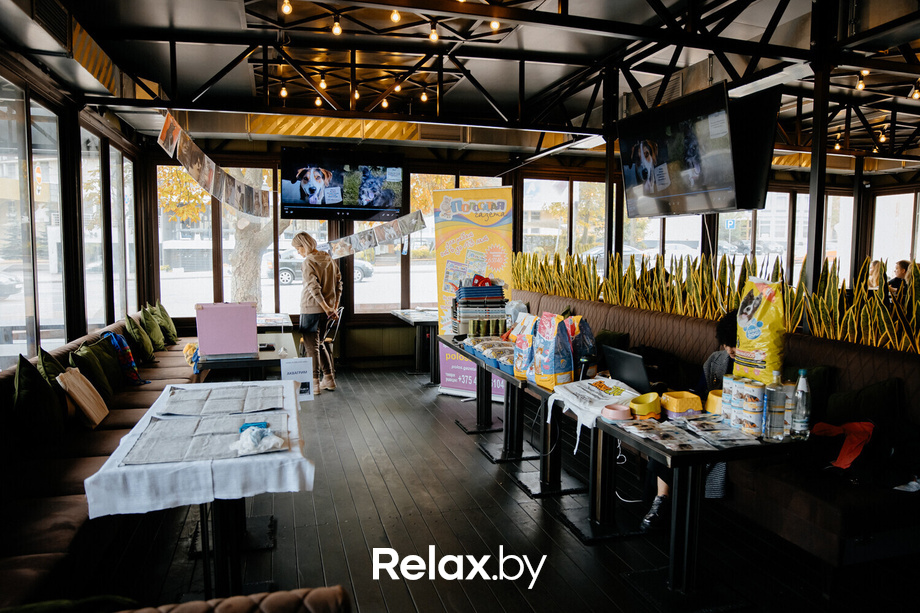 Благотворительная акция пушистого добра, фото № 62