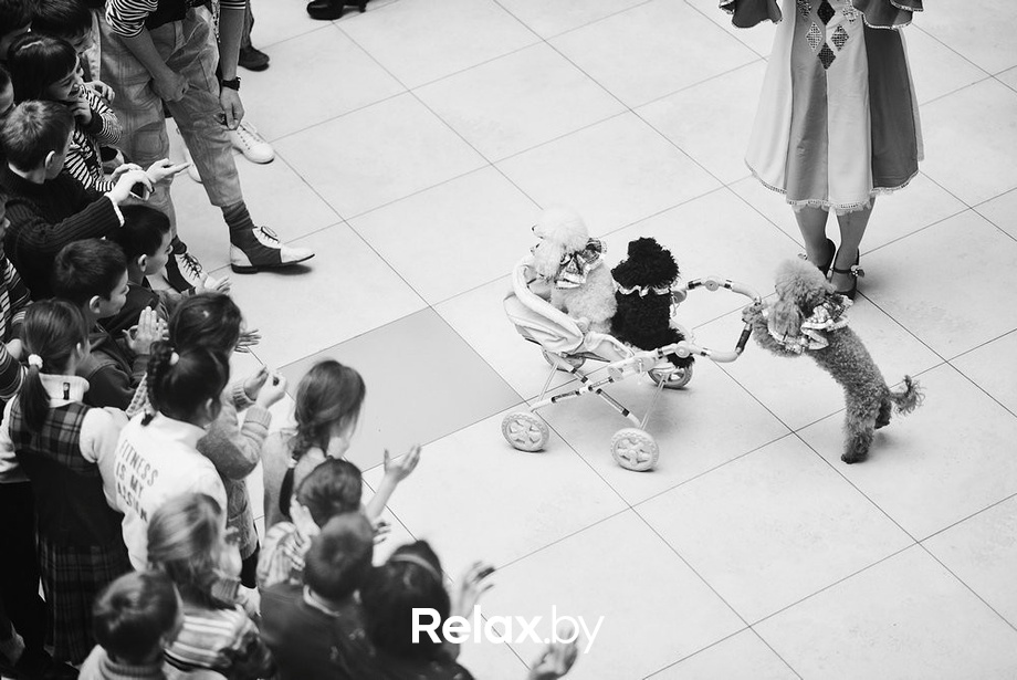 Благотворительный закрытый показ «Ловушка для привидения», фото № 45