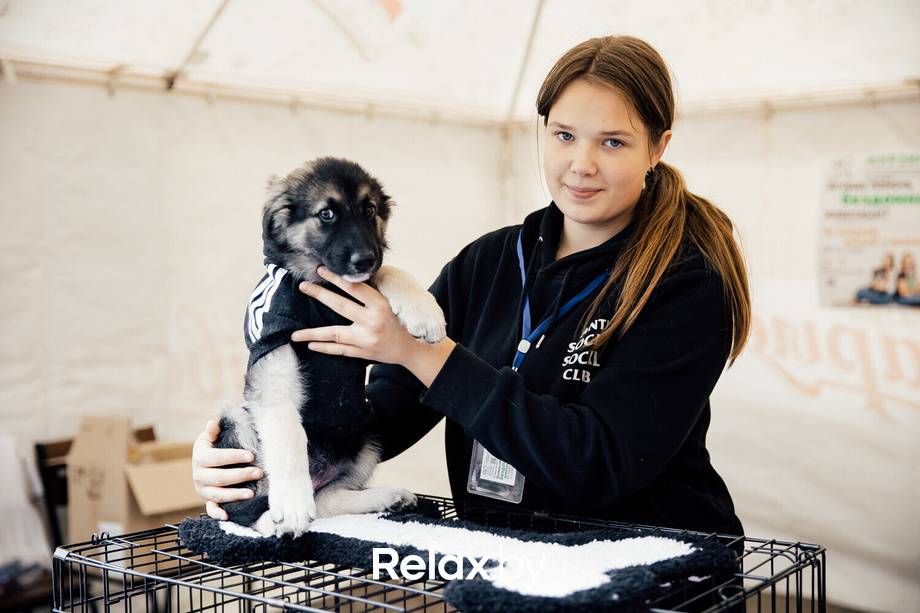 Благотворительная акция пушистого добра, фото № 35