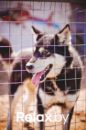 Экспедиция презентация Пикник-отеля, фото № 2