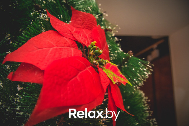 Mojitos Party, фото № 19