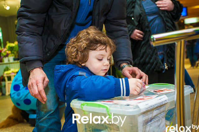 Благотворительная акция, фото № 46