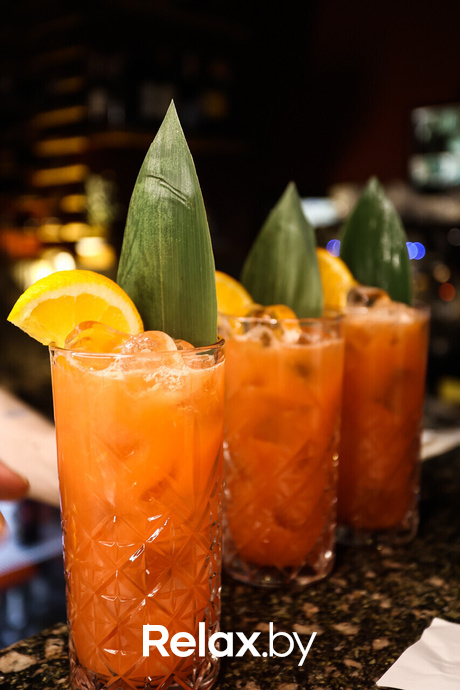 Терра караоке, фото № 36