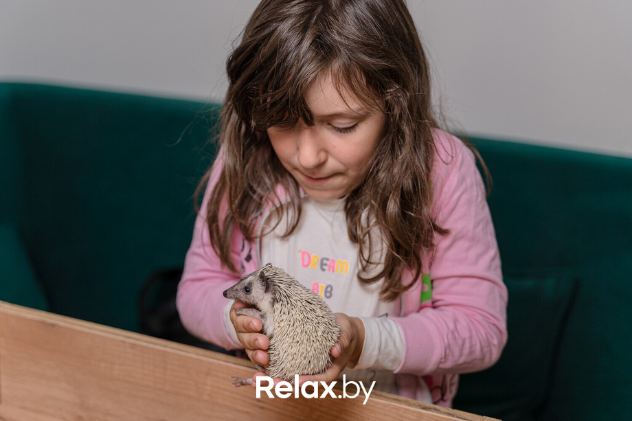 Открытие антикафе «Ёж кафе», фото № 22