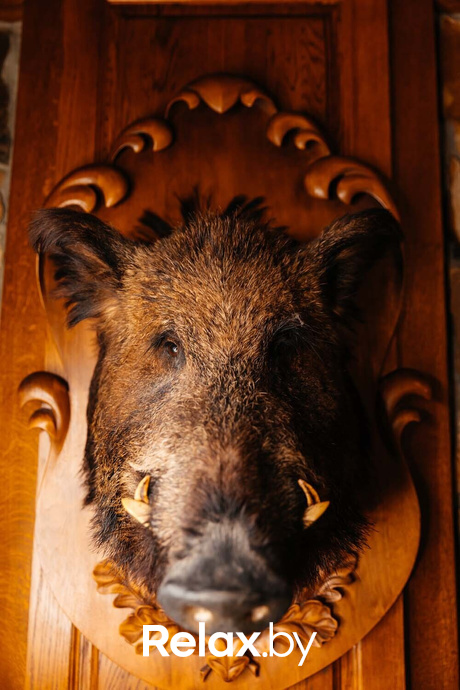 Суббота в Броваре, фото № 31