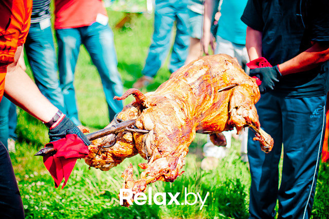 Экспедиция презентация Пикник-отеля, фото № 123