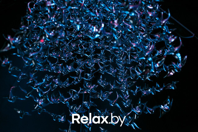 Club Show, фото № 79