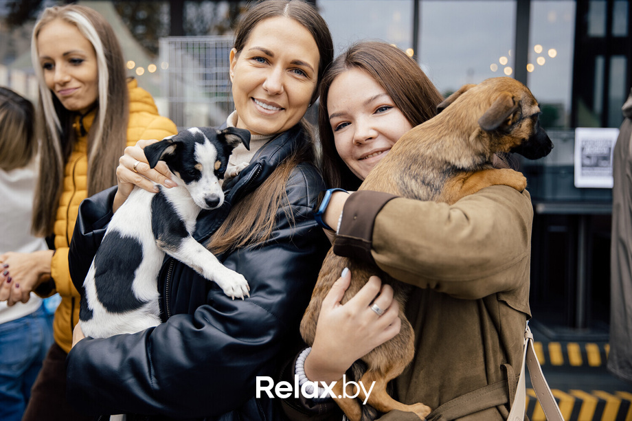 Благотворительная акция пушистого добра, фото № 21