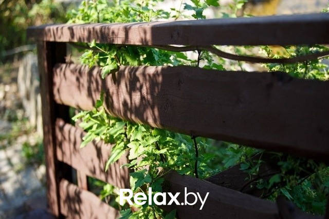 Открытие летней террасы в трактире Панская Усадьба, фото № 18