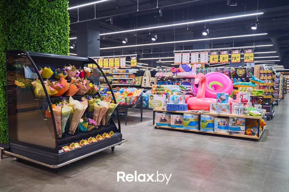 Открытие ГИППО, фото № 68