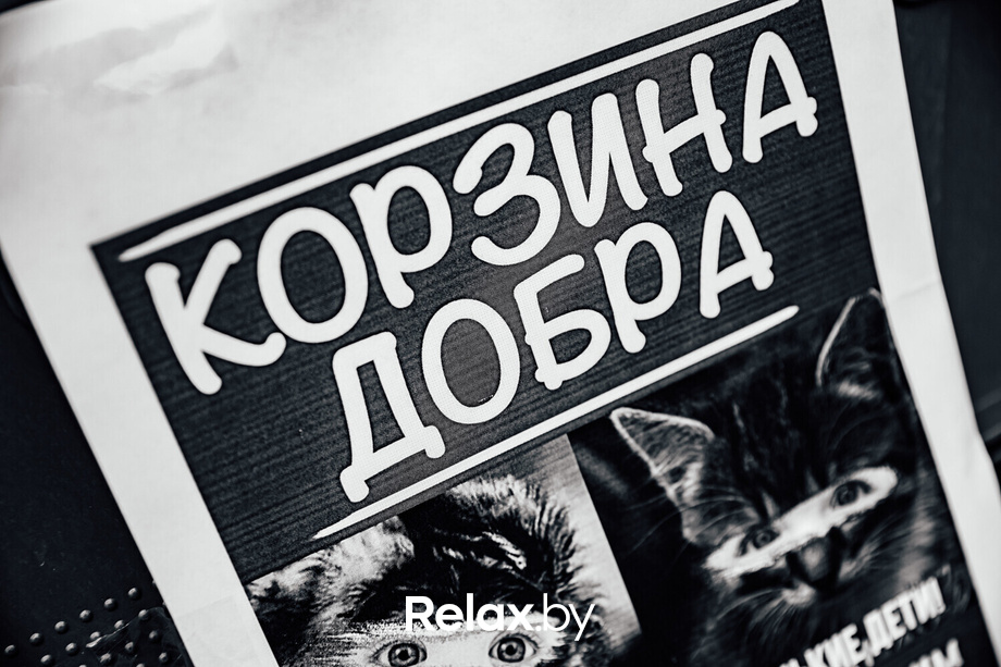 Благотворительная акция пушистого добра, фото № 19