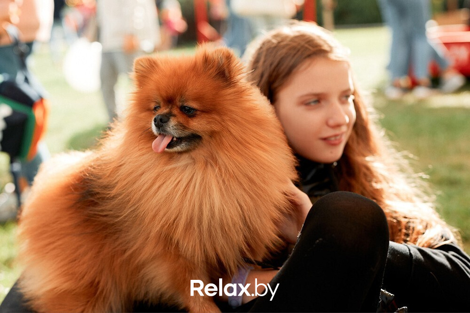 Фестиваль Vulitsa Ezha, фото № 100