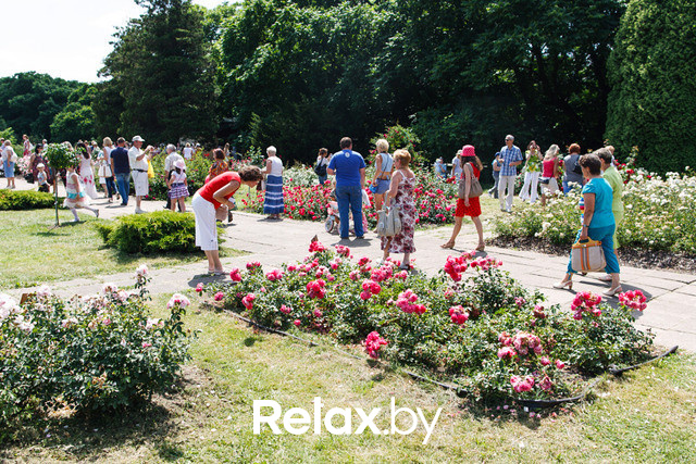 Фестиваль роз, фото № 28