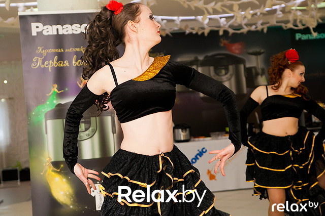 Презентация Panasonic, фото № 57