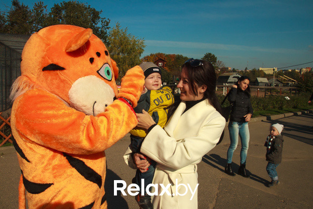 Акция ко Дню защиты животных, фото № 37