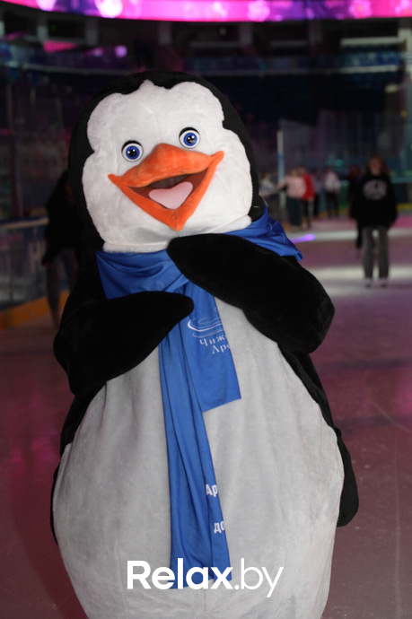 Открытие дискотеки на льду, фото № 90