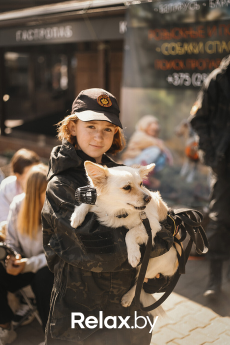 Акция Пушистого Добра, фото № 134