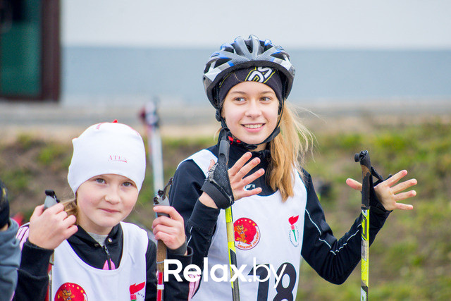 Золотая осень с Васильками, фото № 53