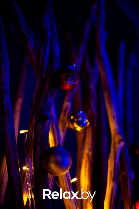 Happy New Year in Terra, фото № 60