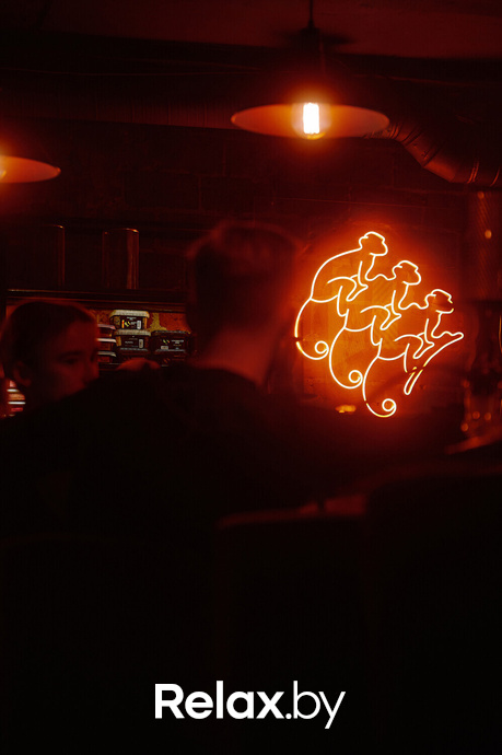 Monkey Brothers, фото № 56