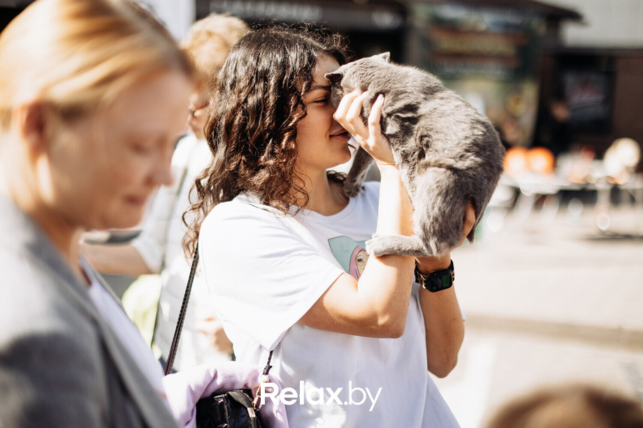 Акция Пушистого Добра, фото № 32