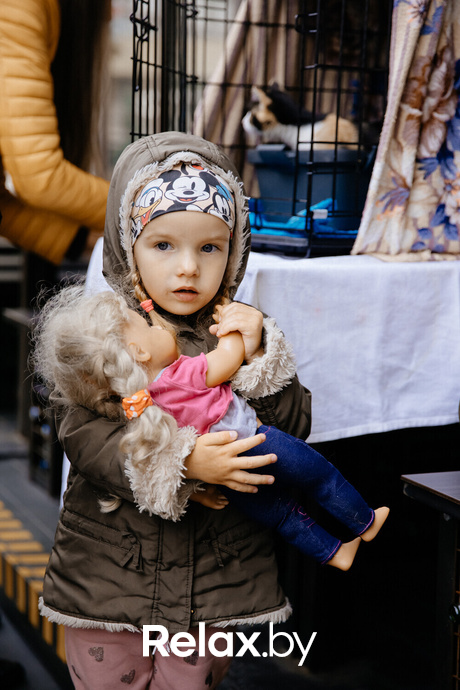 Благотворительная акция пушистого добра, фото № 106