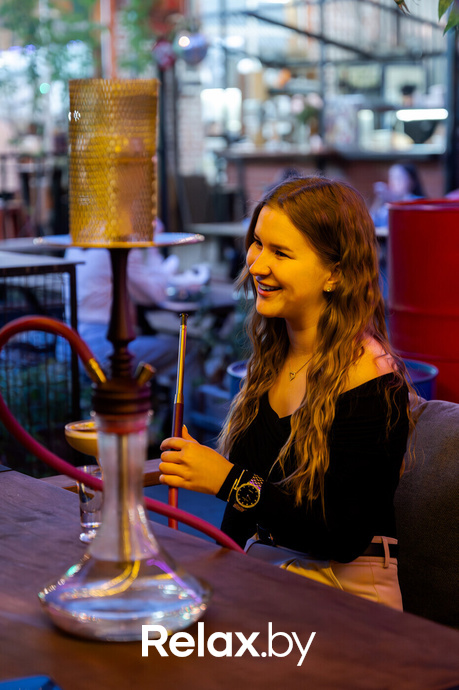 Monkey Brothers, фото № 9