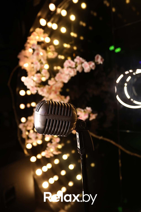 Терра Караоке, фото № 26