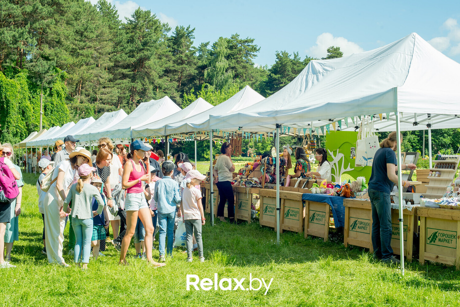 Букидс. Профессии, фото № 38