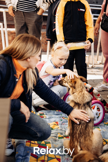 Акция Пушистого Добра, фото № 19