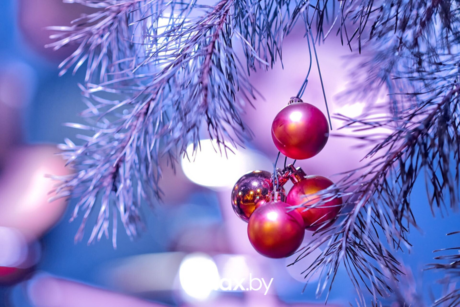 Пятница в Ангелах, фото № 11