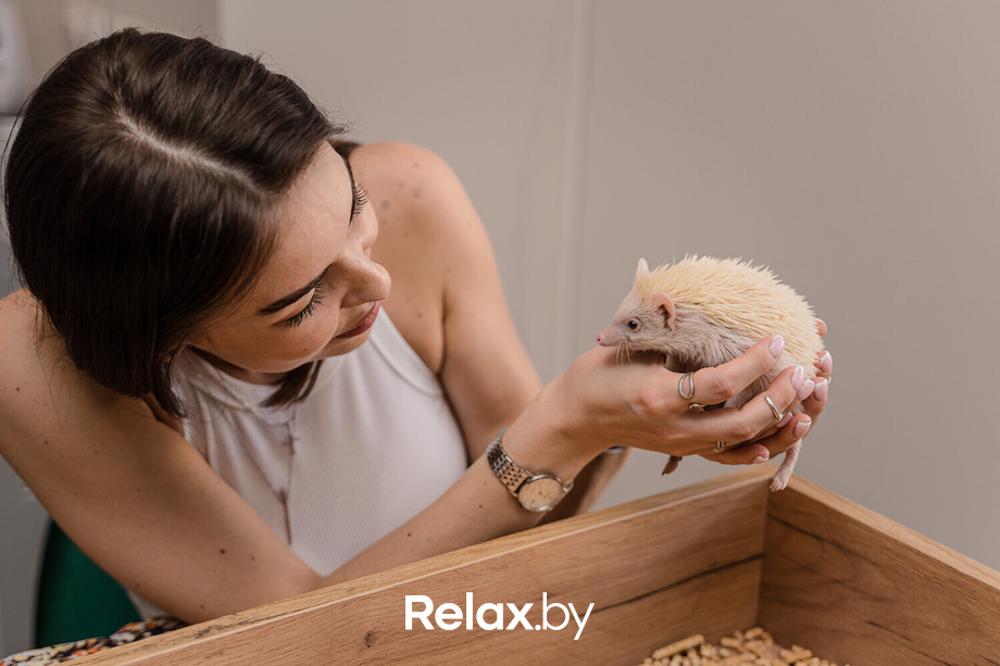 Открытие антикафе «Ёж кафе», фото № 42