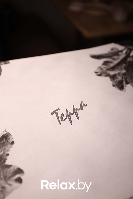 Терра Караоке, фото № 6