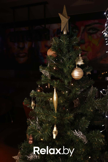 Terra Karaoke, фото № 29