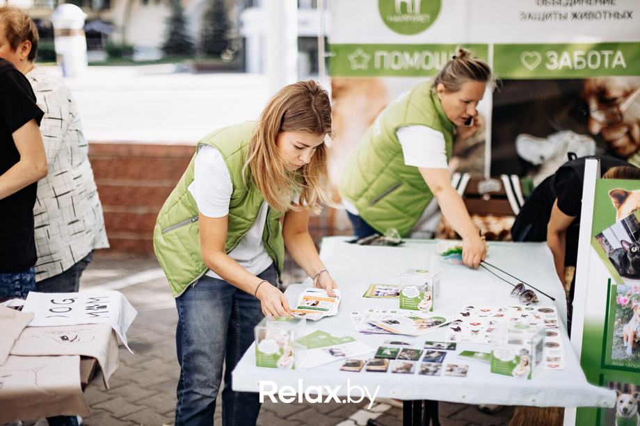 Акция Пушистого Добра, фото № 9