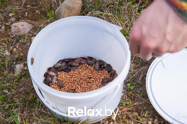 Тимбилдинг, фото № 76