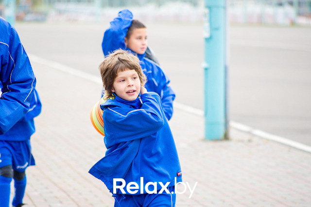 Золотая осень с Васильками, фото № 59