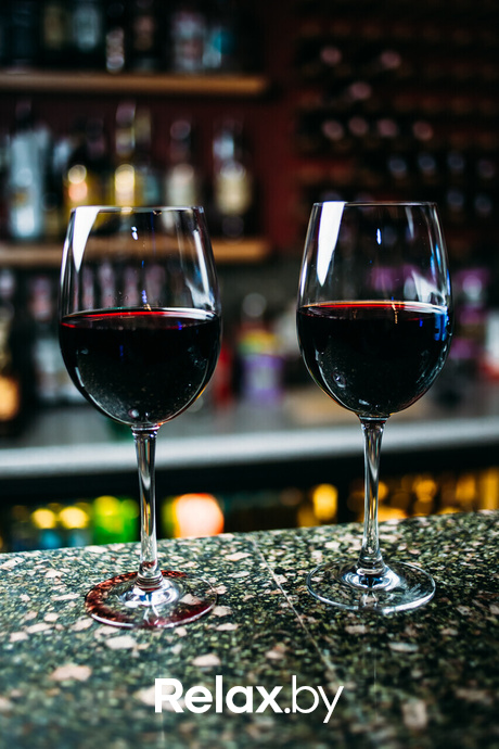 Terra Karaoke, фото № 1