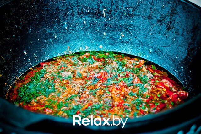 Экспедиция презентация Пикник-отеля, фото № 118