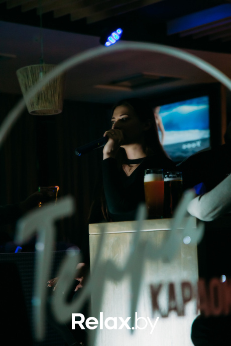 Terra Karaoke, фото № 54