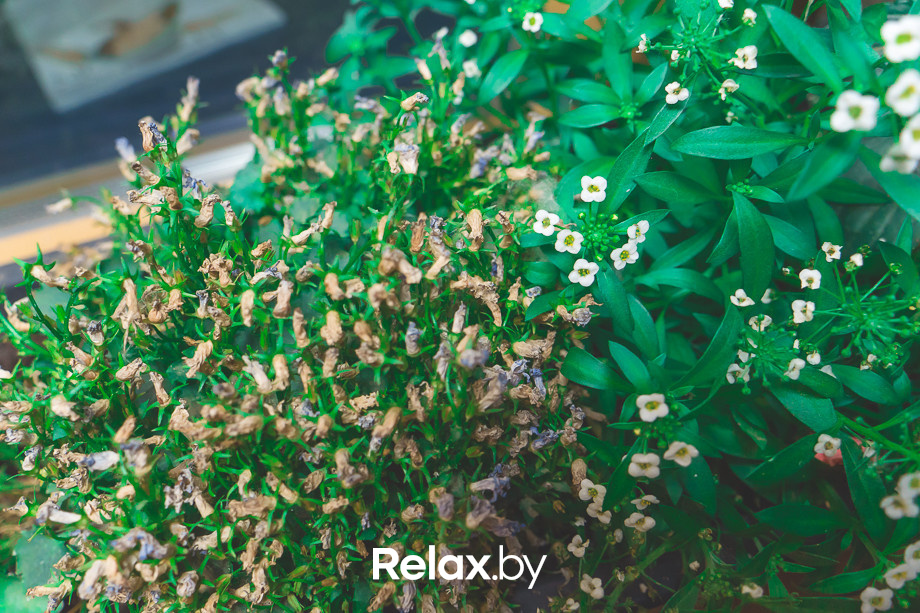 Живая гитара Dj set MAVR, фото № 37